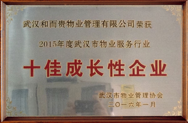 &#38647;&#36895;&#45;&#38647;&#36895;&#65288;&#20013;&#22269;&#65289;