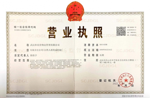 &#38647;&#36895;&#45;&#38647;&#36895;&#65288;&#20013;&#22269;&#65289;